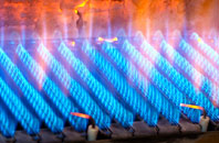 Cottesbrooke gas fired boilers